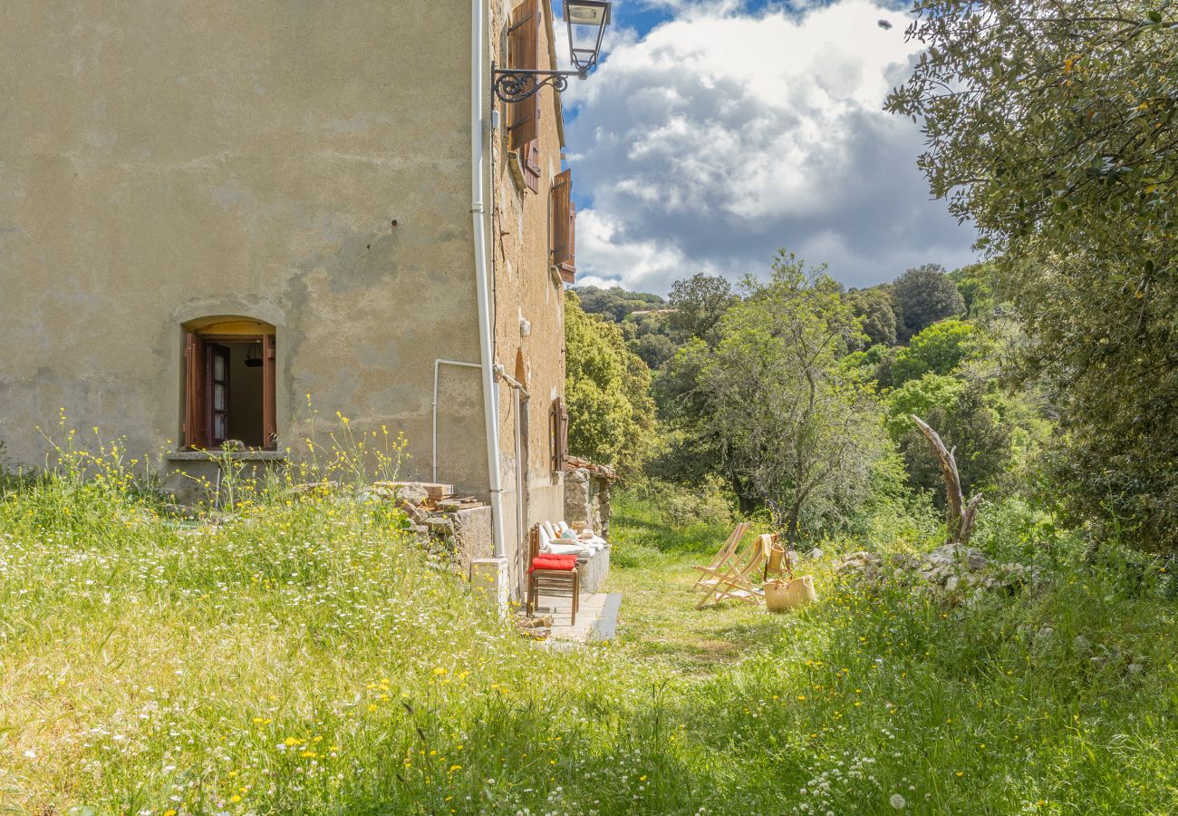 House in Olmi-Cappella - Casa Di Babbo