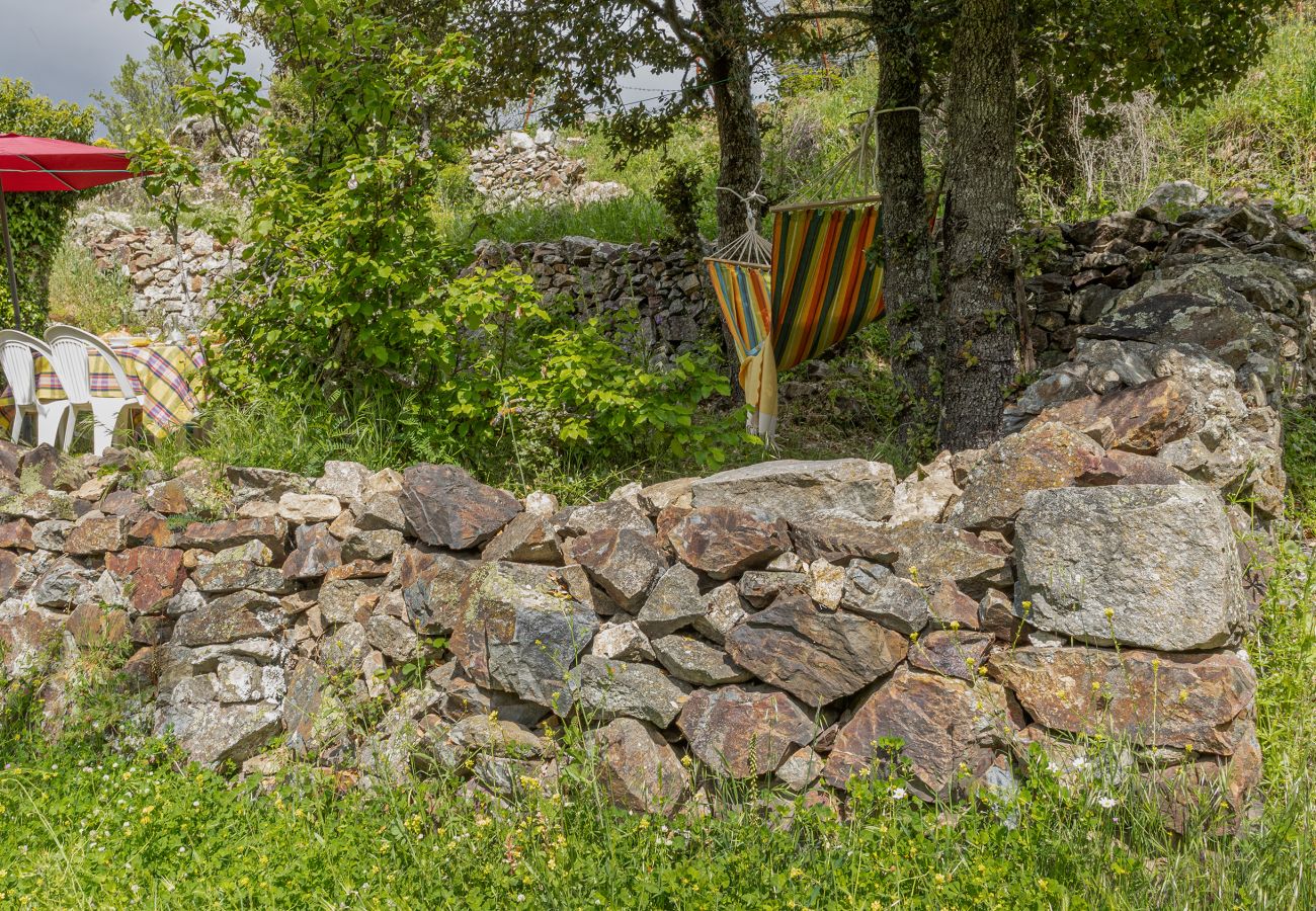 House in Olmi-Cappella - Casa Di Babbo