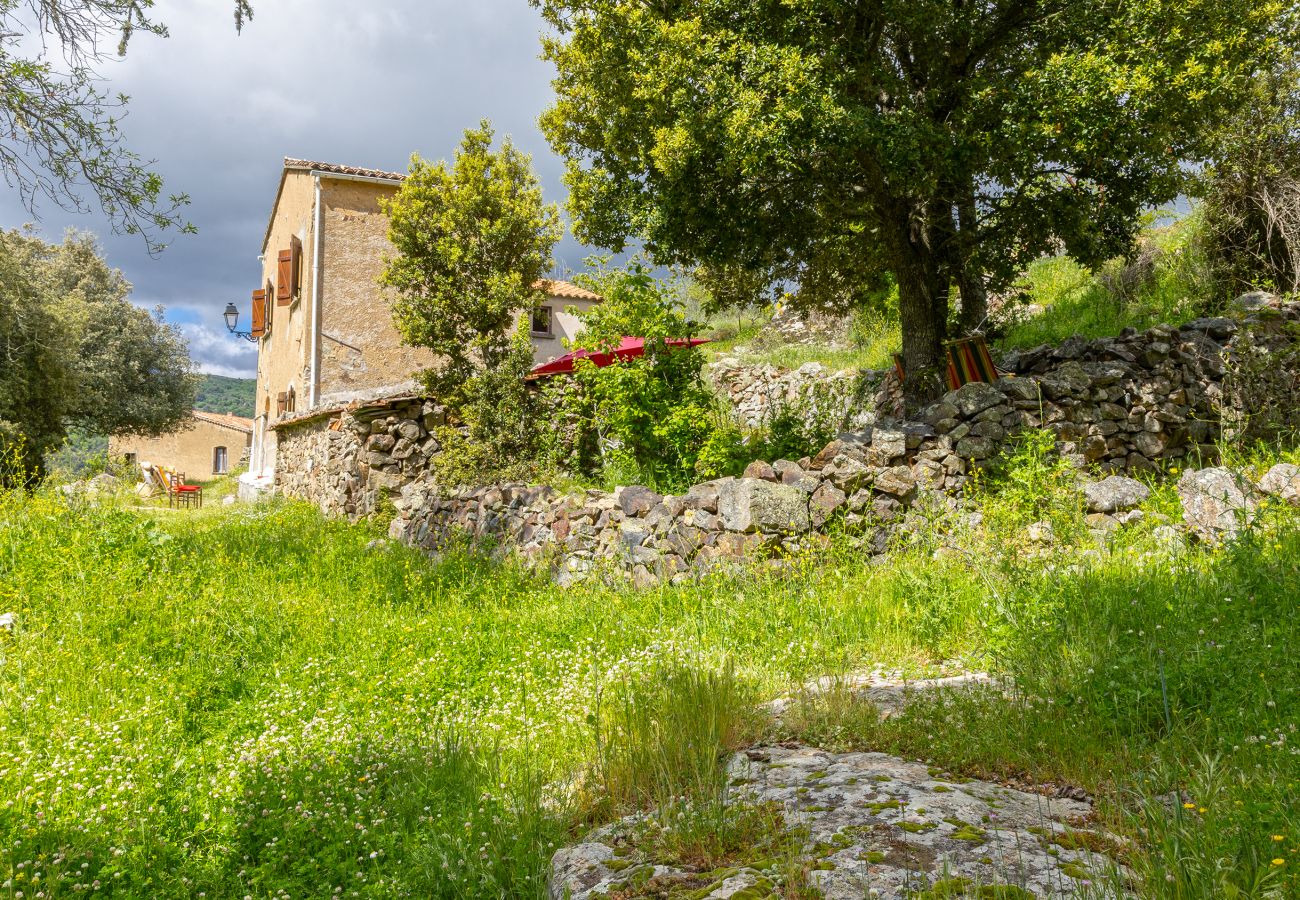 House in Olmi-Cappella - Casa Di Babbo