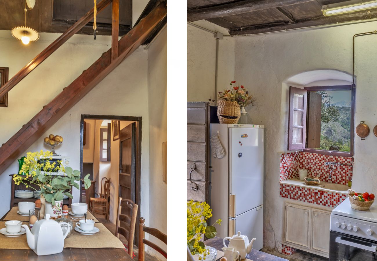 House in Olmi-Cappella - Casa Di Babbo
