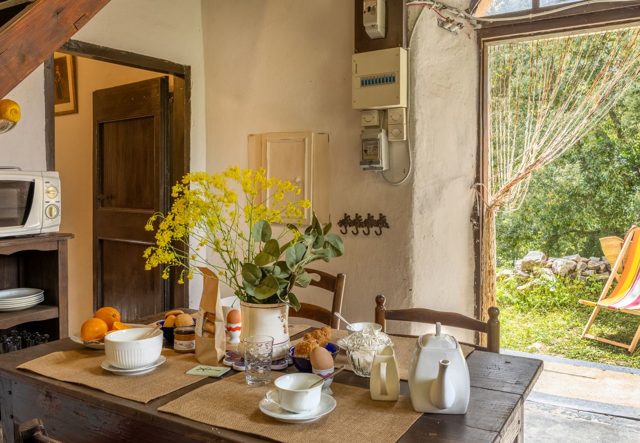 House in Olmi-Cappella - Casa Di Babbo