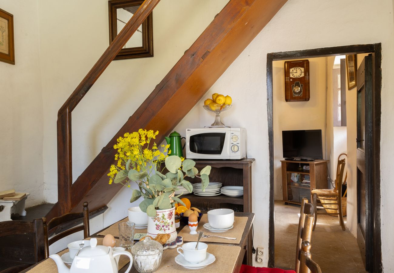 House in Olmi-Cappella - Casa Di Babbo