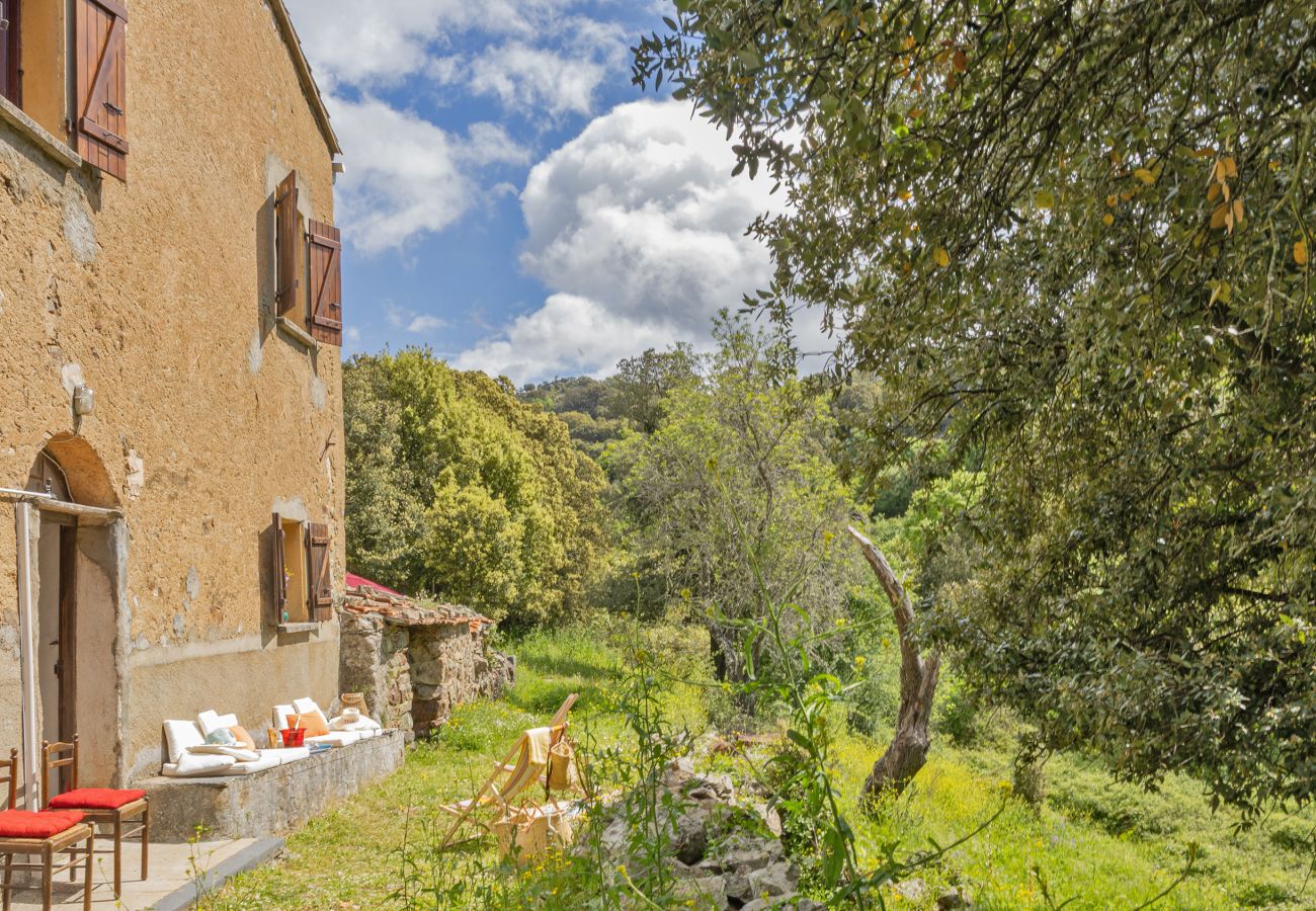 House in Olmi-Cappella - Casa Di Babbo