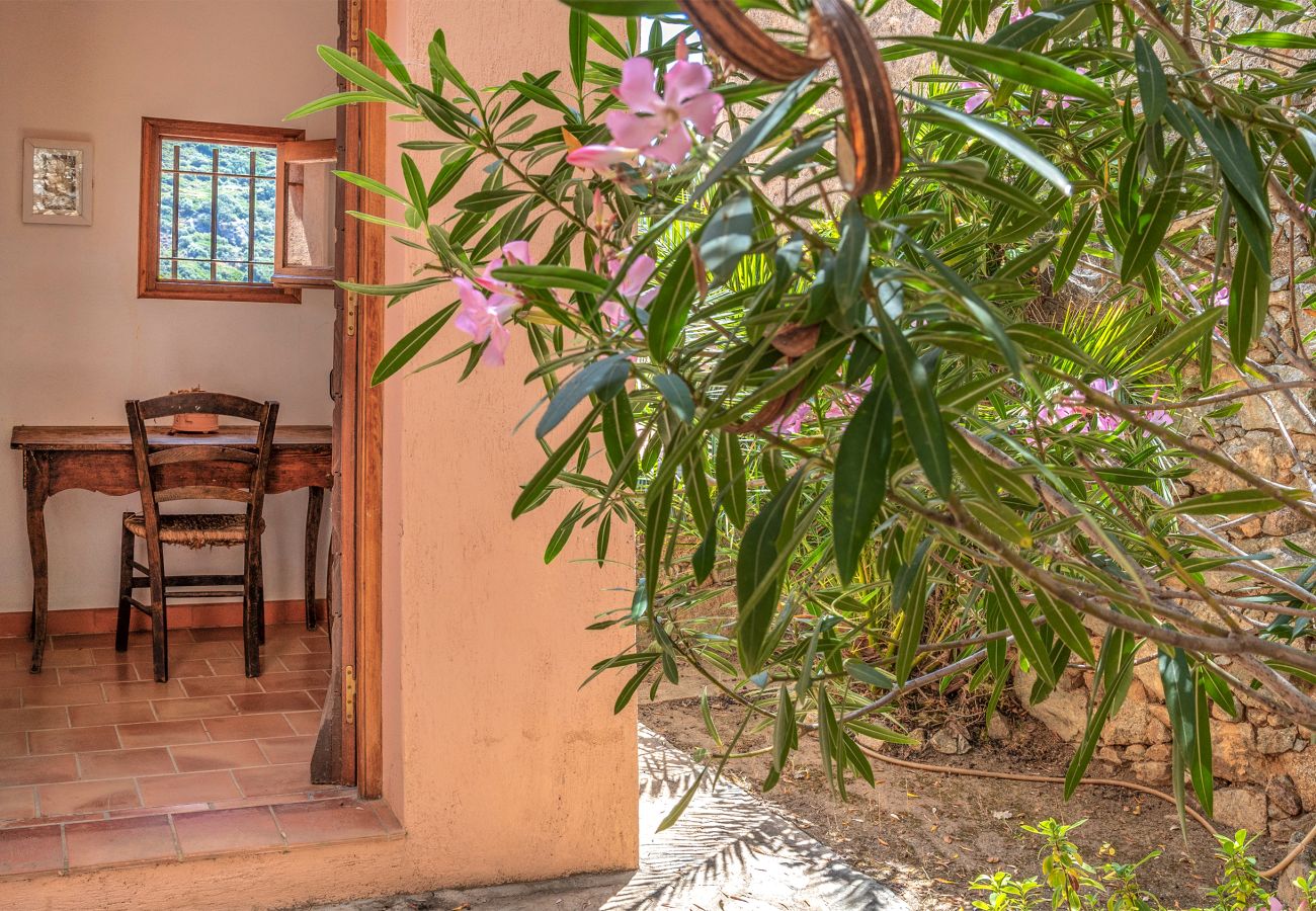 House in Corbara - Casa Le Fornu