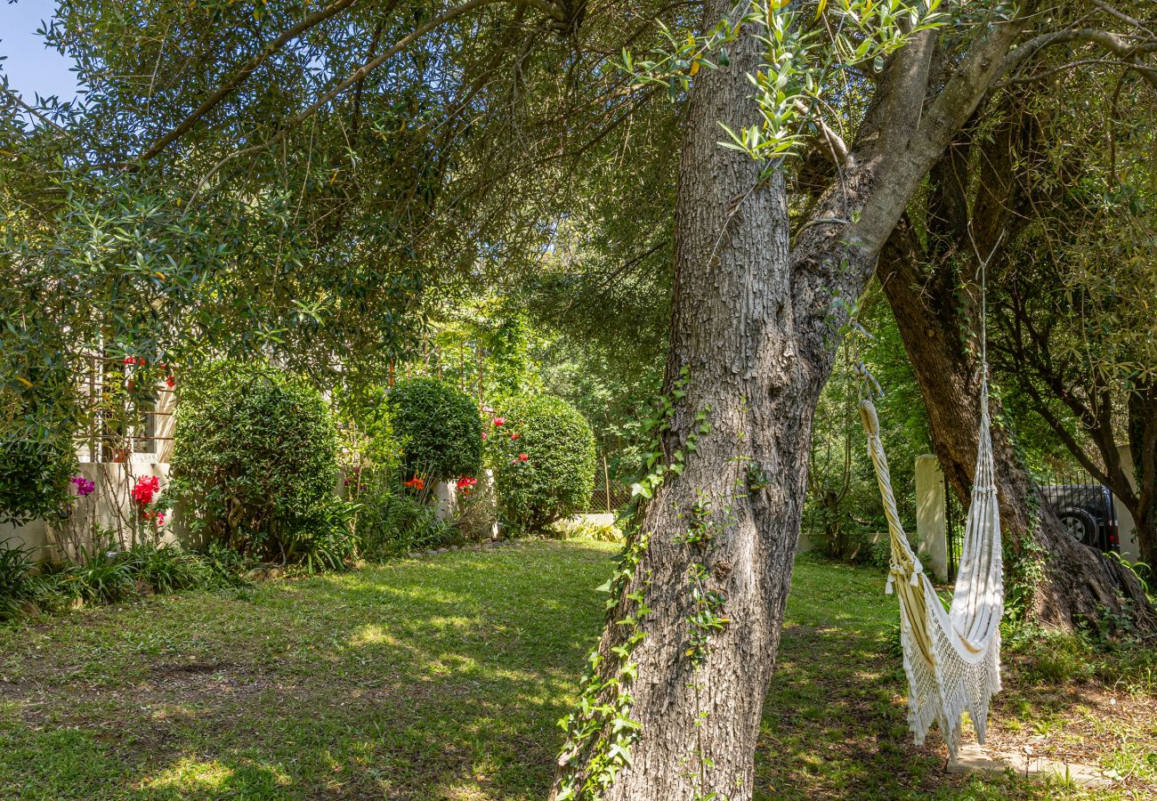 Villa in Sisco - Casa Murati