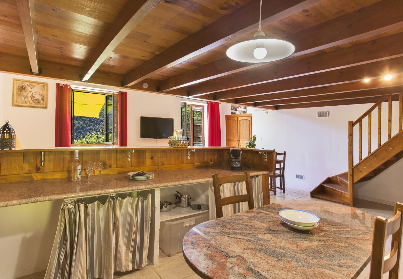 Apartment in Santo-Pietro-di-Tenda - Casa Nebbia