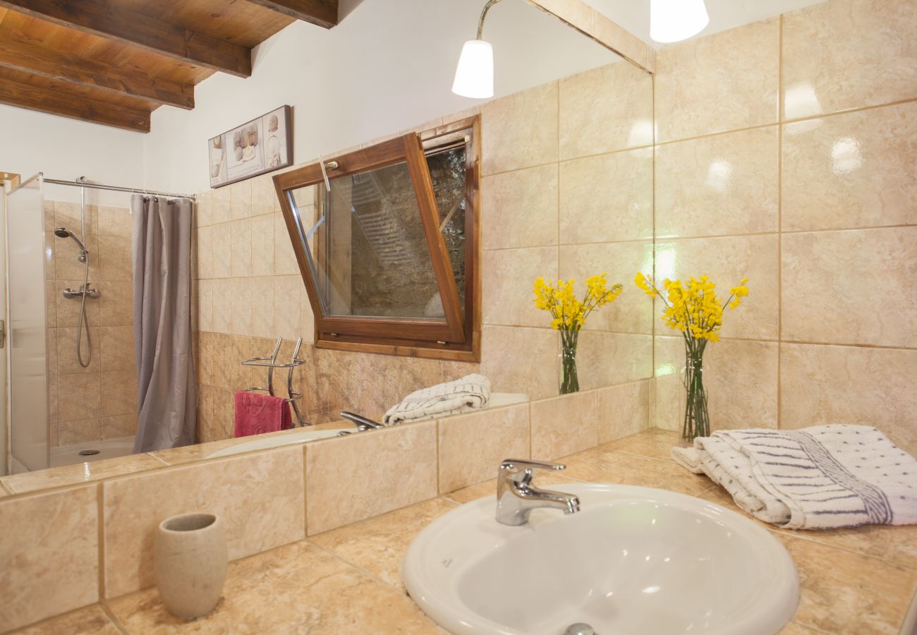 Apartment in Santo-Pietro-di-Tenda - Casa Nebbia