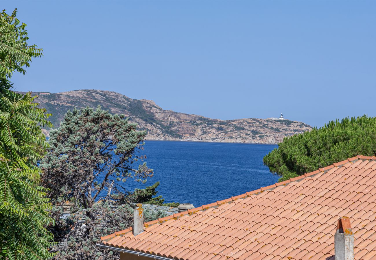 Apartment in Calvi - Casa Félicie