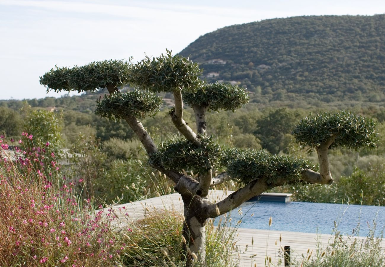 Villa a Pinarello - Villa U Pinu