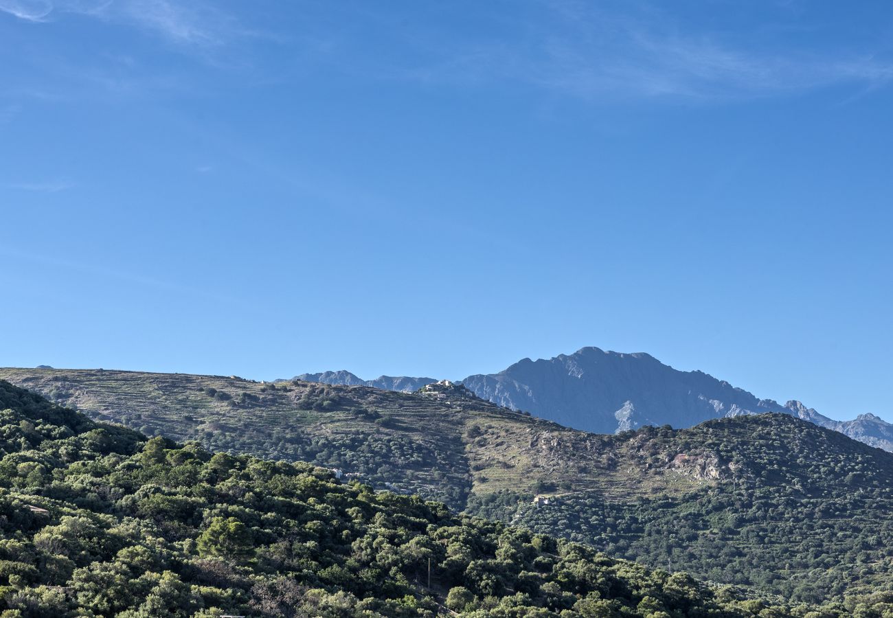 Villa a Corbara - Villa Davia