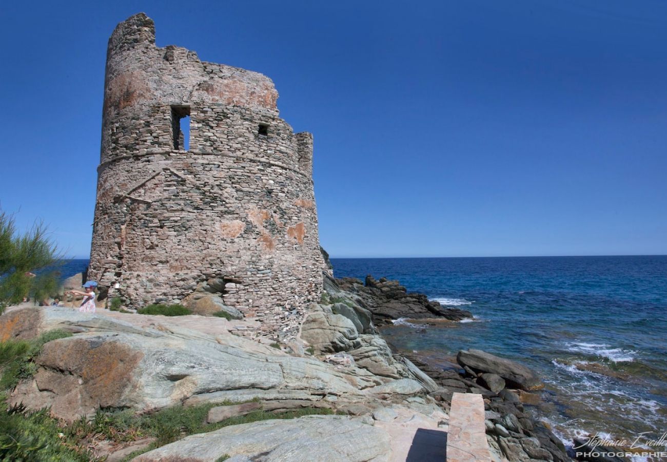 Appartamento a Erbalunga - Casa Estel - Rose