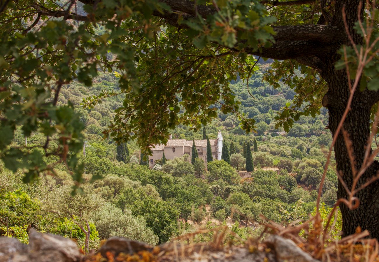 Villa a Corbara - Villa U Laziu