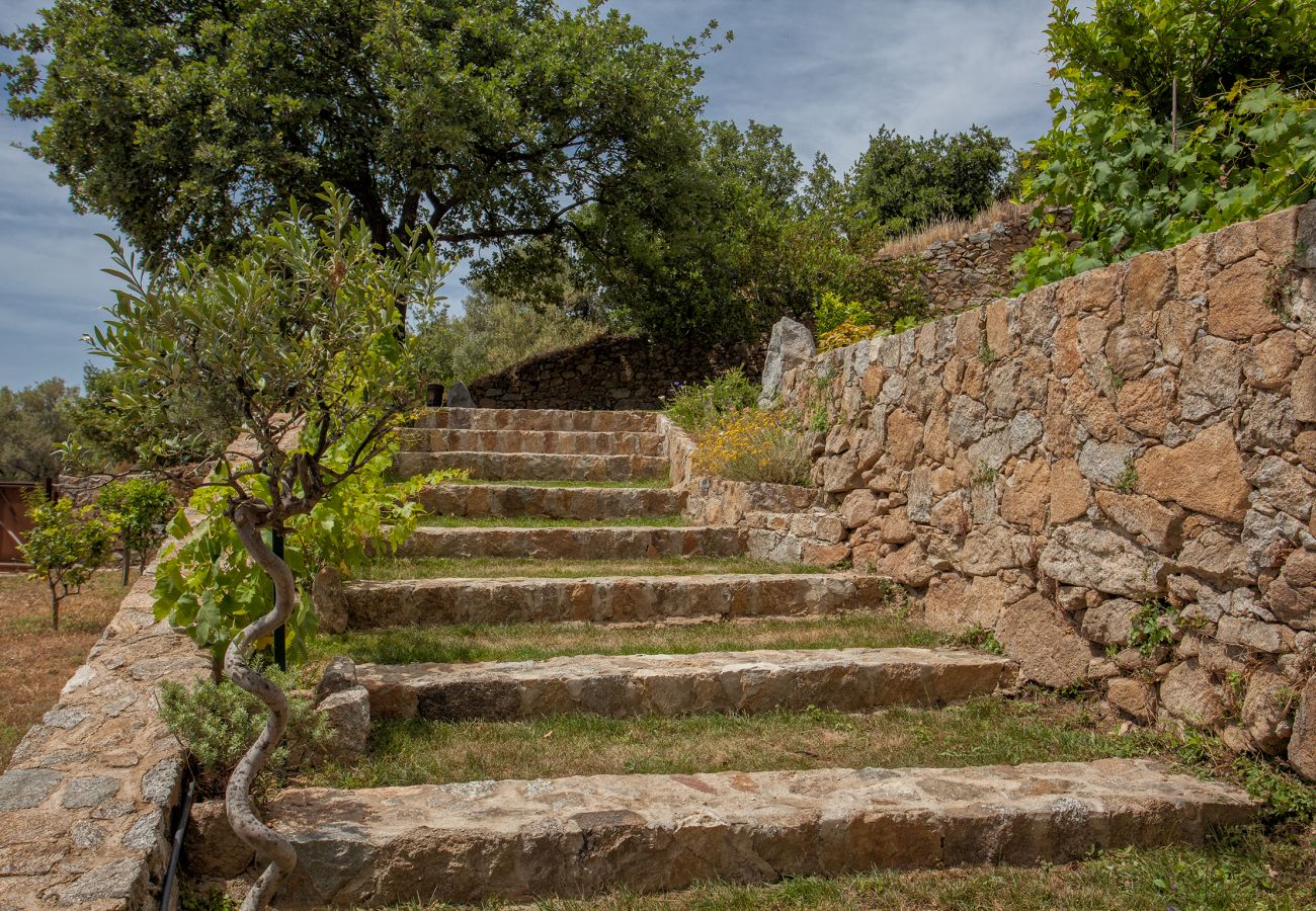 Villa a Corbara - Villa U Laziu