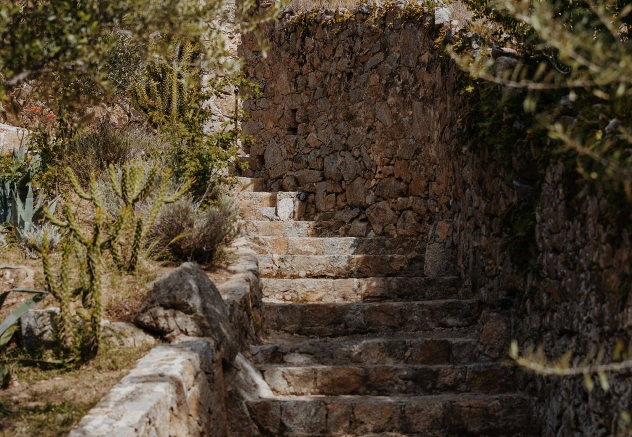 Villa a Corbara - Villa U Laziu