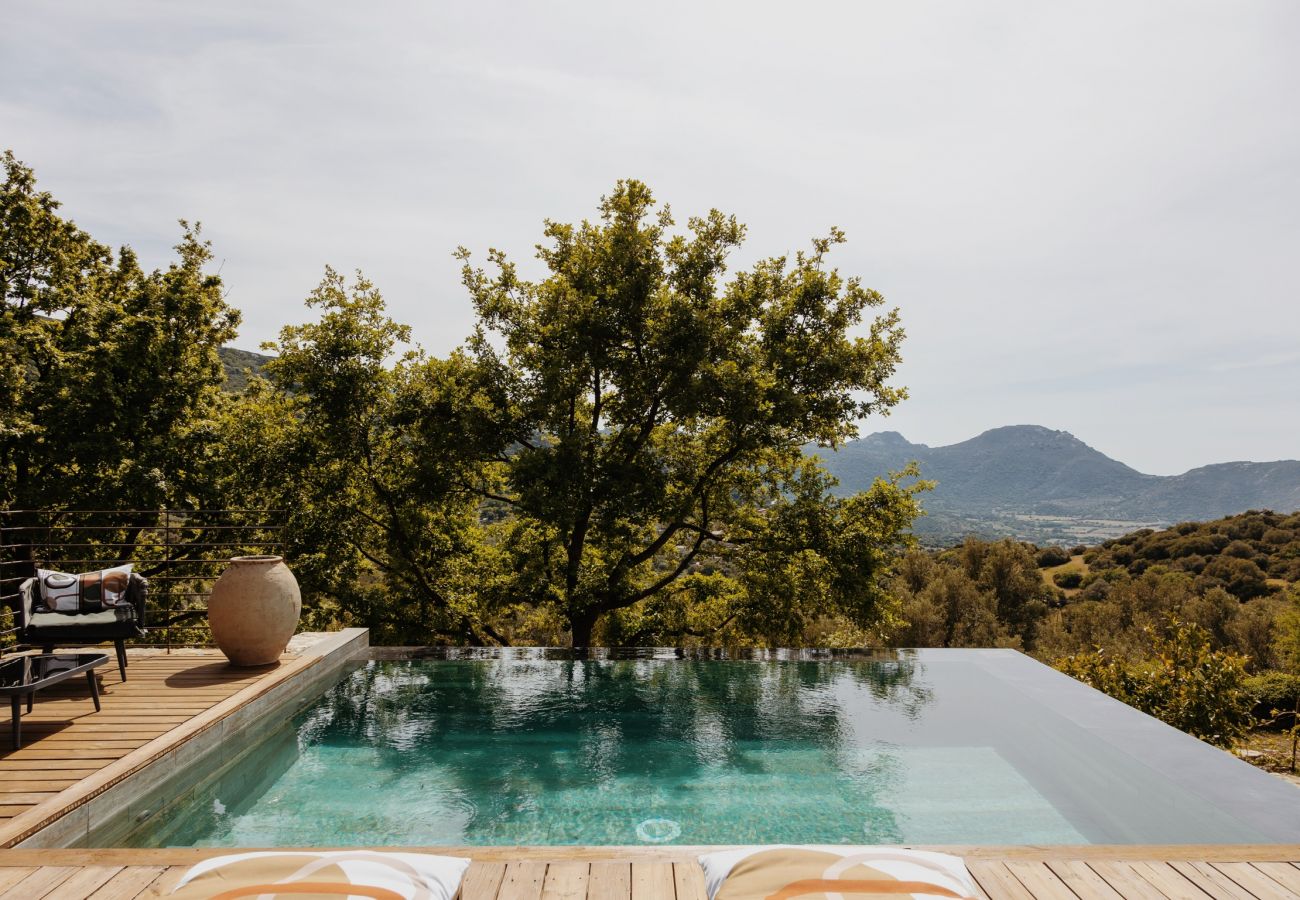 Villa a Corbara - Villa U Laziu