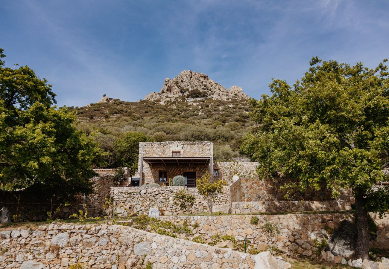 Villa a Corbara - Villa U Laziu
