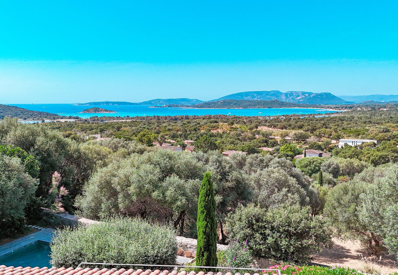 Villa a Sainte-Lucie de Porto-Vecchio - Villa Casta Joia