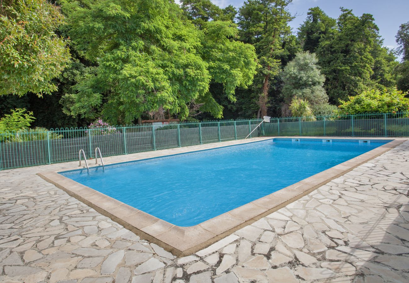 Villa a Linguizzetta - Casa Noel