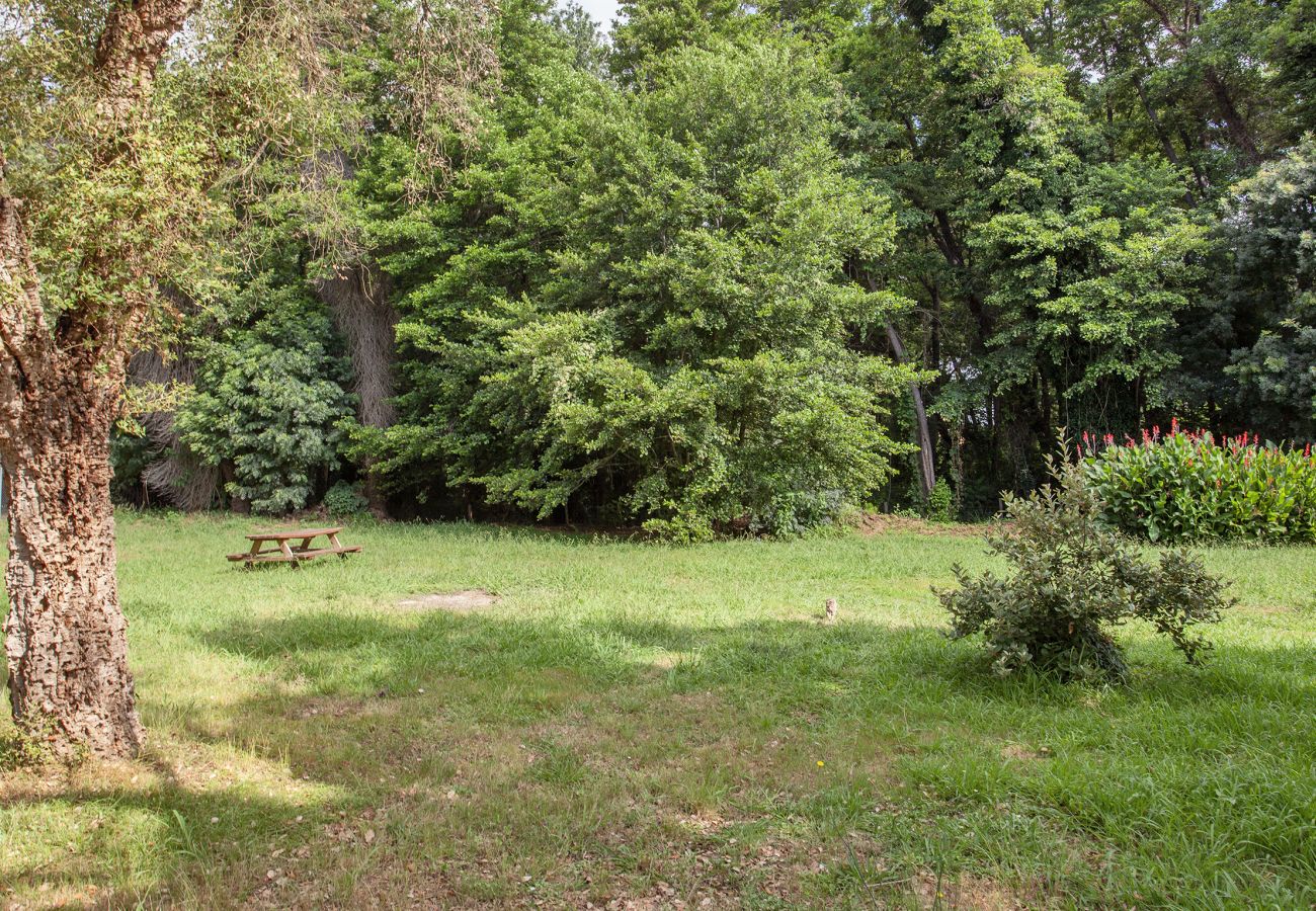 Villa a Linguizzetta - Casa Noel