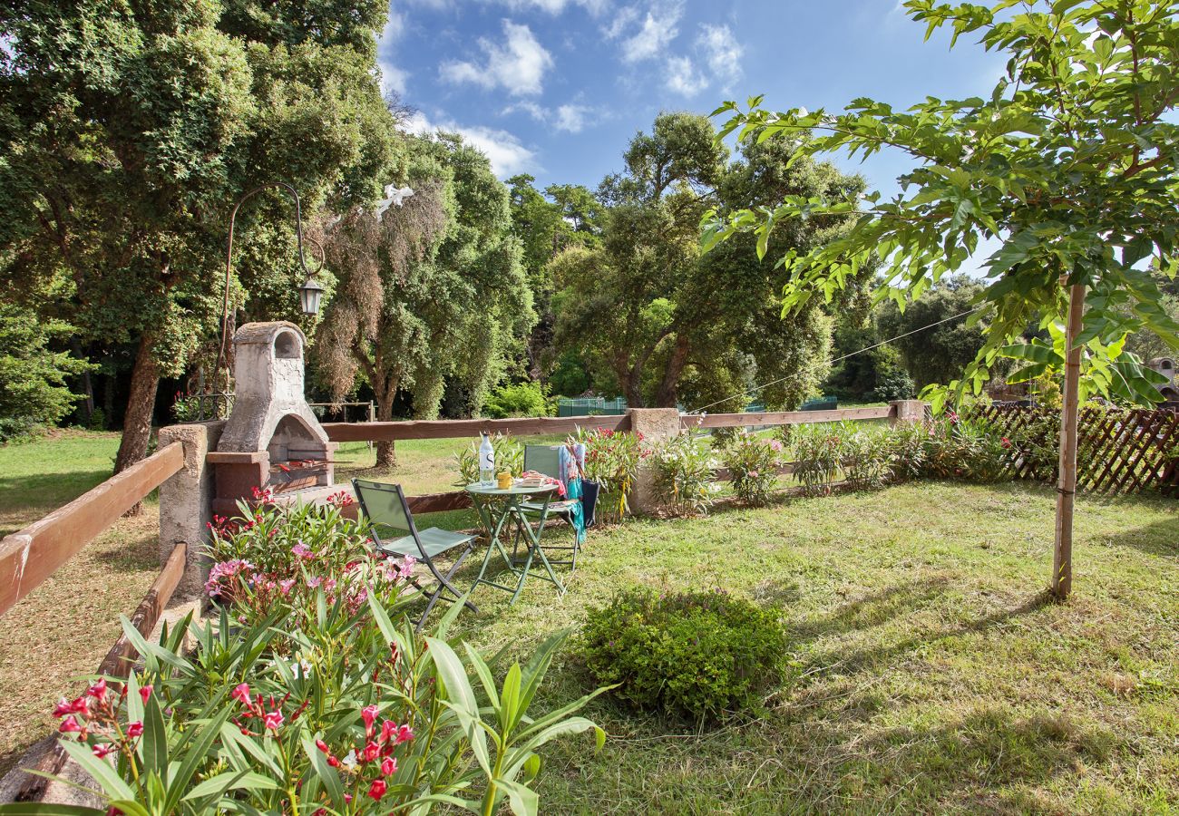 Villa a Linguizzetta - Casa Noel