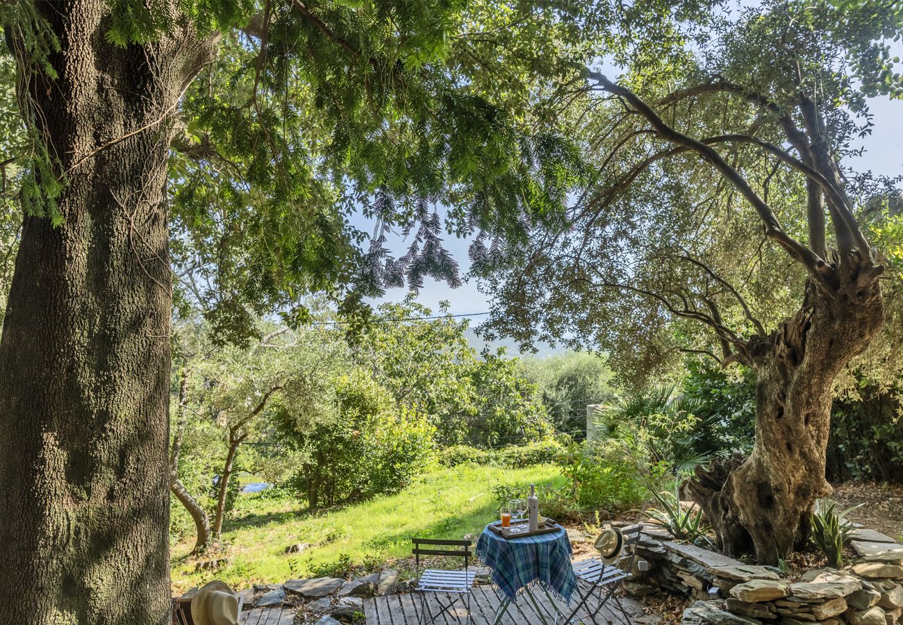 Villa a Sisco - Tour Barrigioni