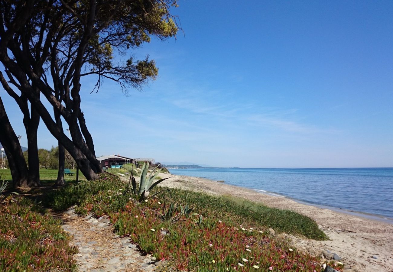 Villa a Cervione - Villa Paesolu