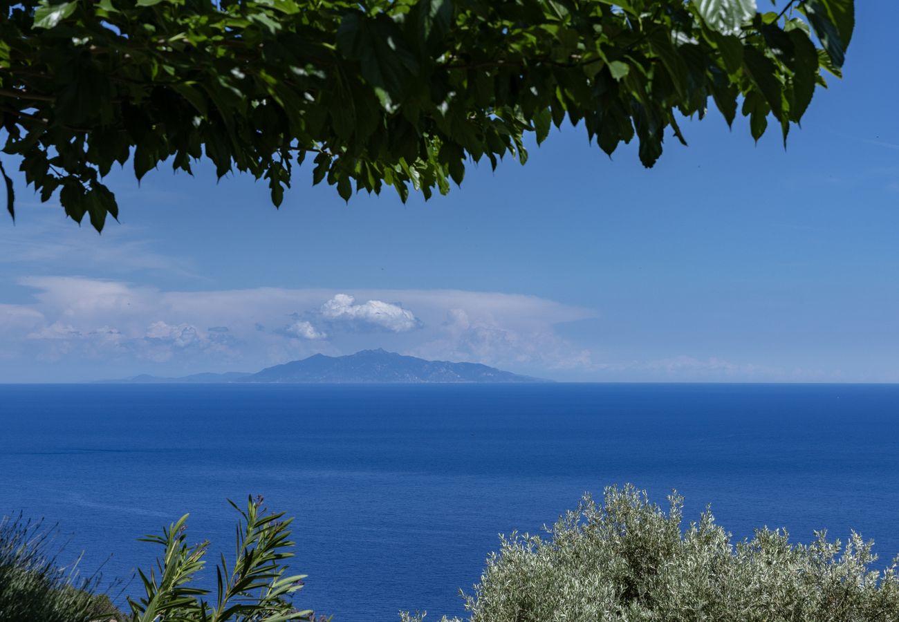 Villa a Brando - La Bergerie