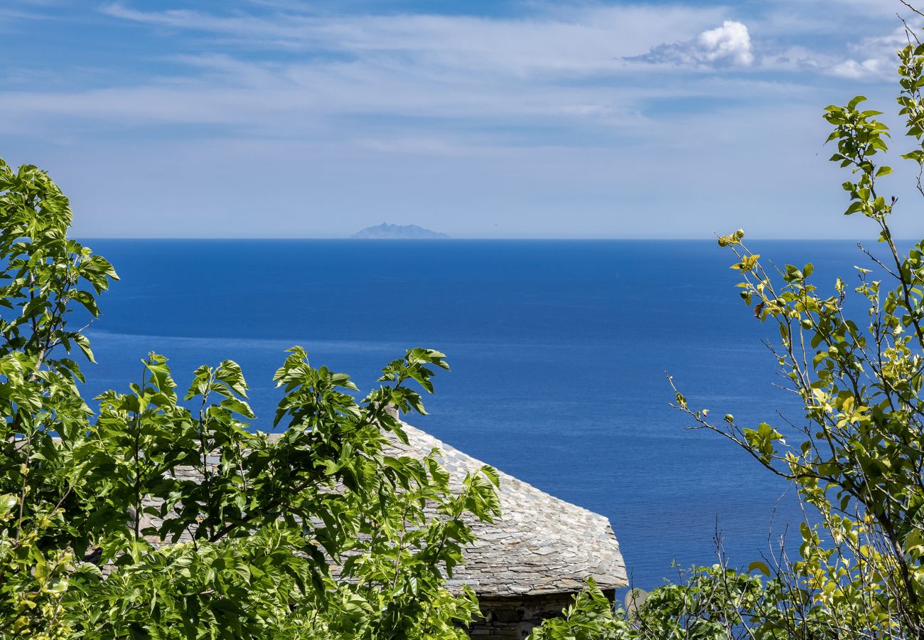 Villa a Brando - La Bergerie