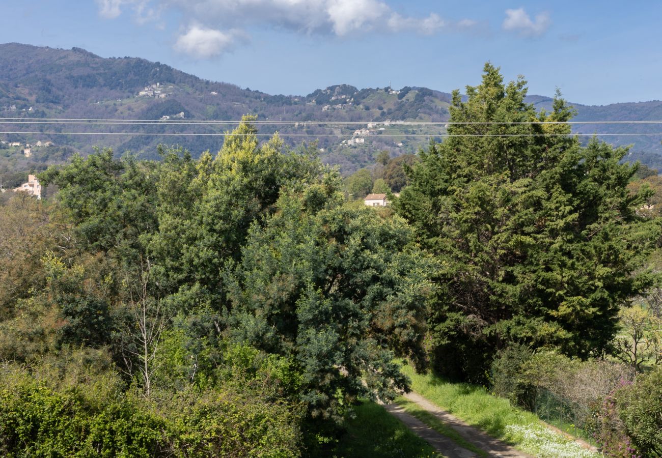 Appartamento a San-Nicolao - Casa Verde