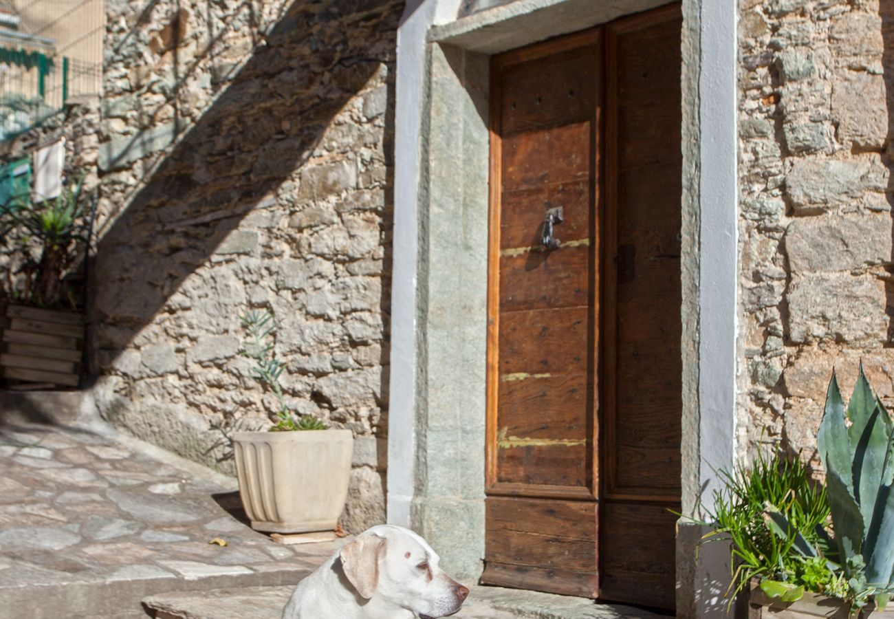 Appartamento a Santo-Pietro-di-Tenda - Casa Tenda