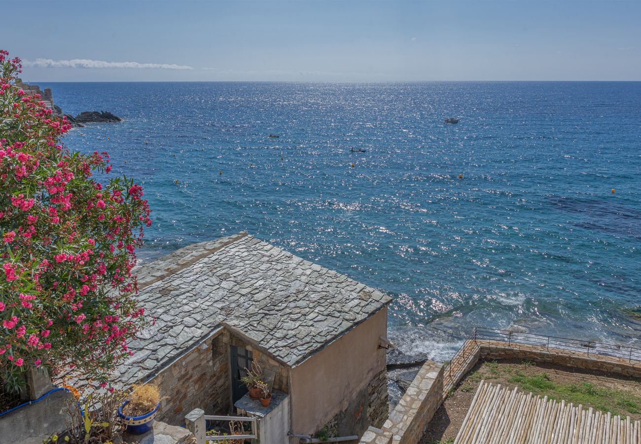Casa a Erbalunga - Casetta Ricci - Les Azedarachs II