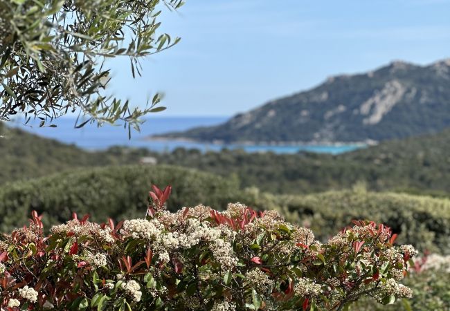 Villa à Porto-Vecchio - Casa Santa-Giulia