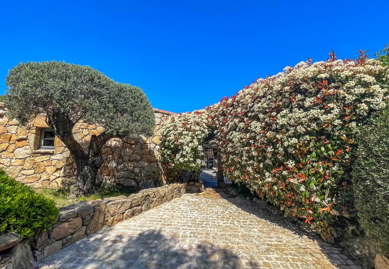 Villa à Porto-Vecchio - Casa Ondella