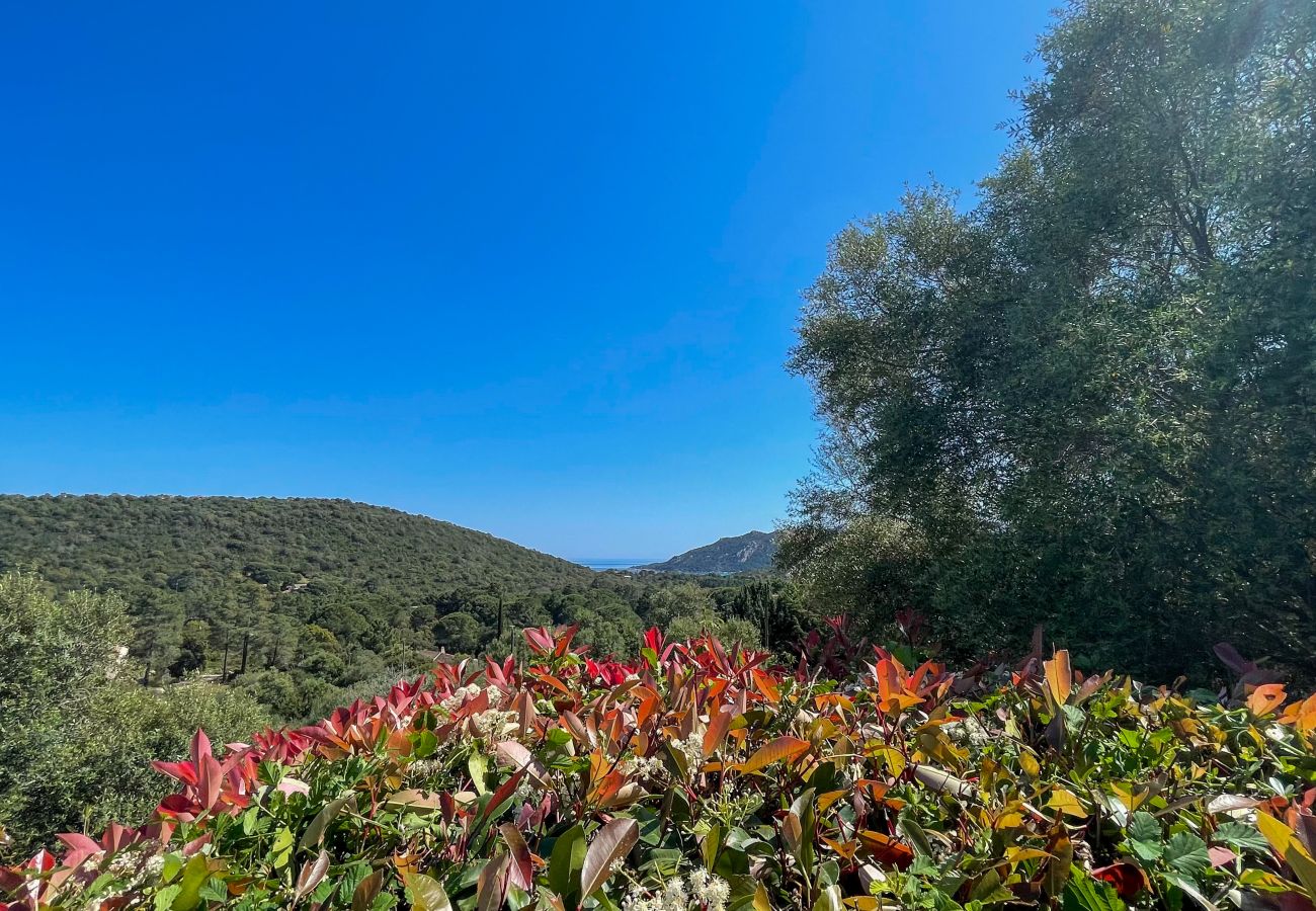 Villa à Porto-Vecchio - Casa Ondella