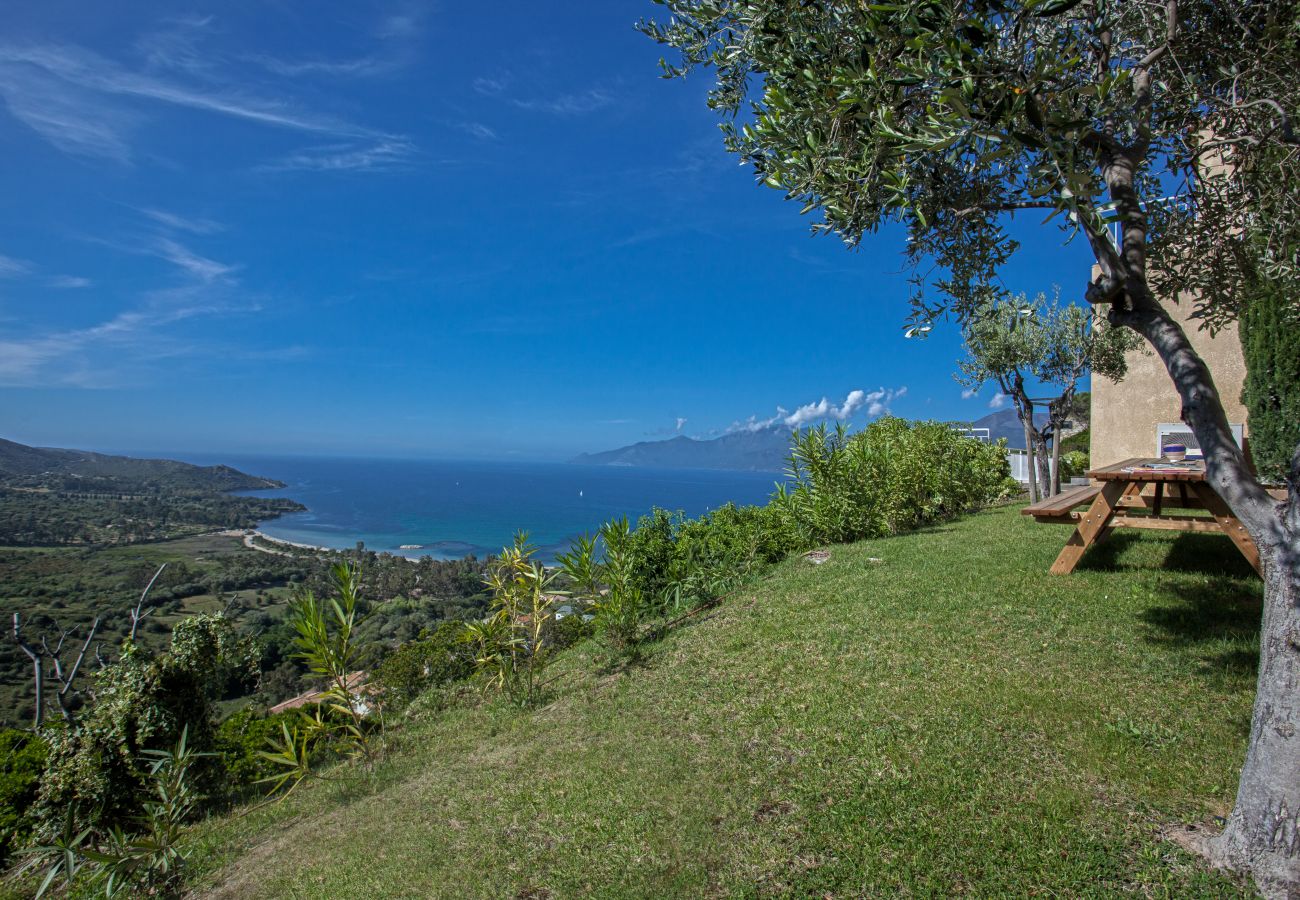 Villa à Saint-Florent - Villa Cléa