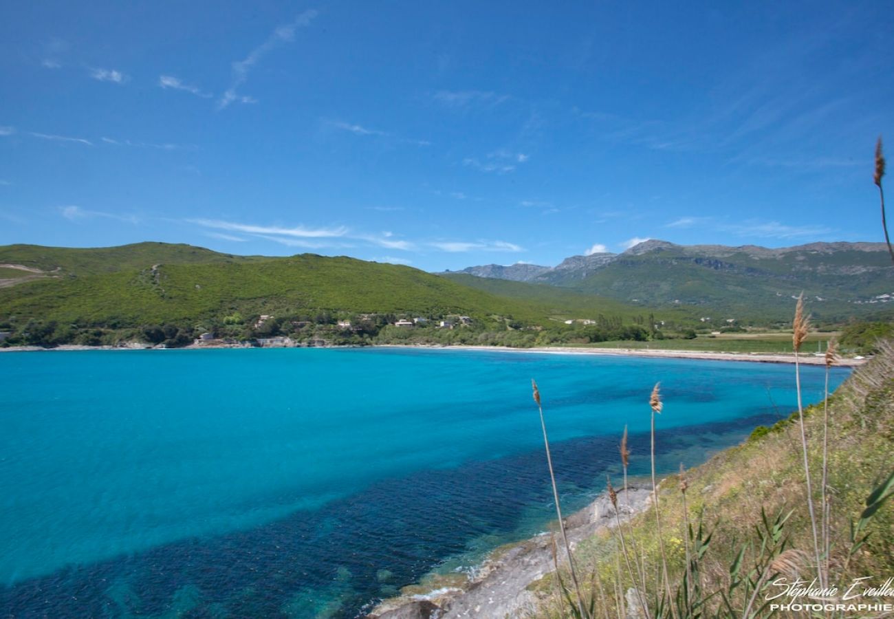 Appartement à Brando - Casa Estel - Rose