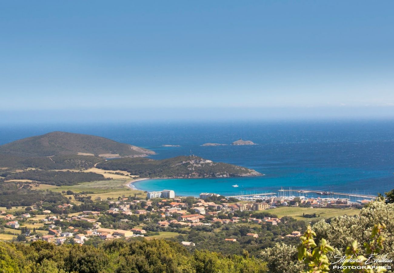 Appartement à Brando - Casa Estel - Rose