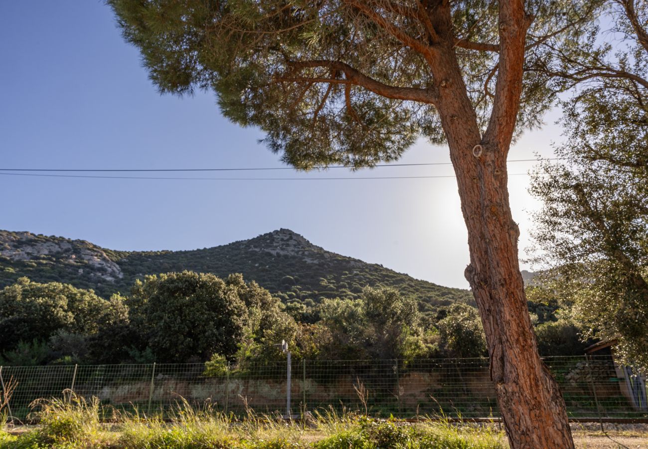 Appartement à Lumio - Casa Balanina