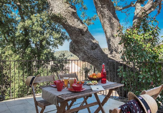 Appartement à Patrimonio - Domaine Ghjulia - Casa Castagniccia