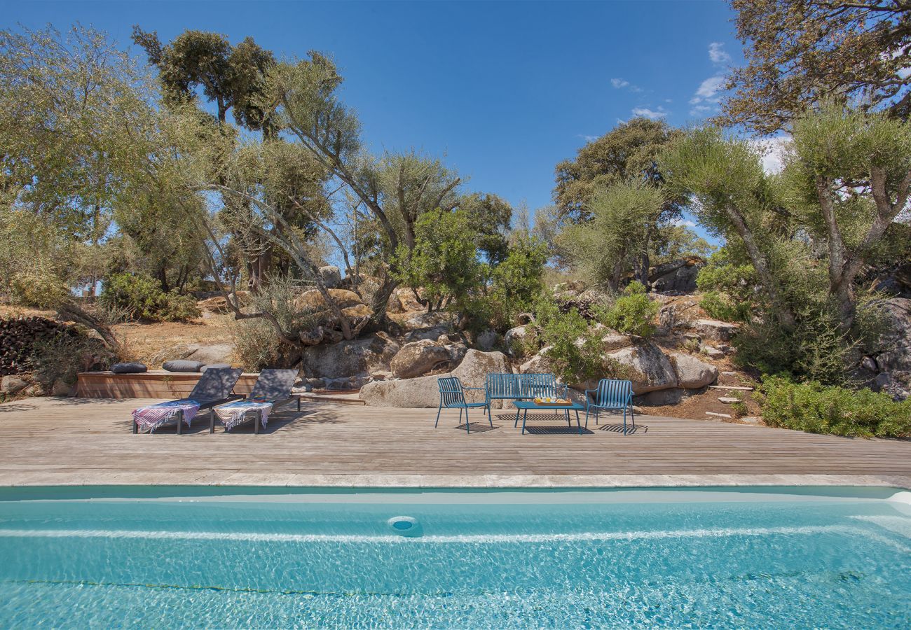 Villa à Porto-Vecchio - Villa Pianelli