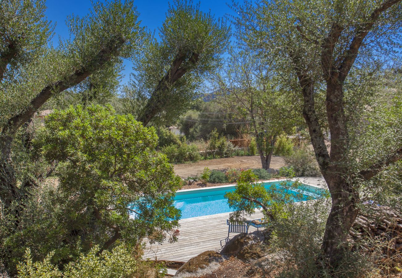 Villa à Porto-Vecchio - Villa Pianelli