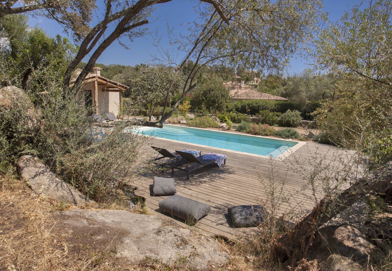 Villa à Porto-Vecchio - Villa Pianelli