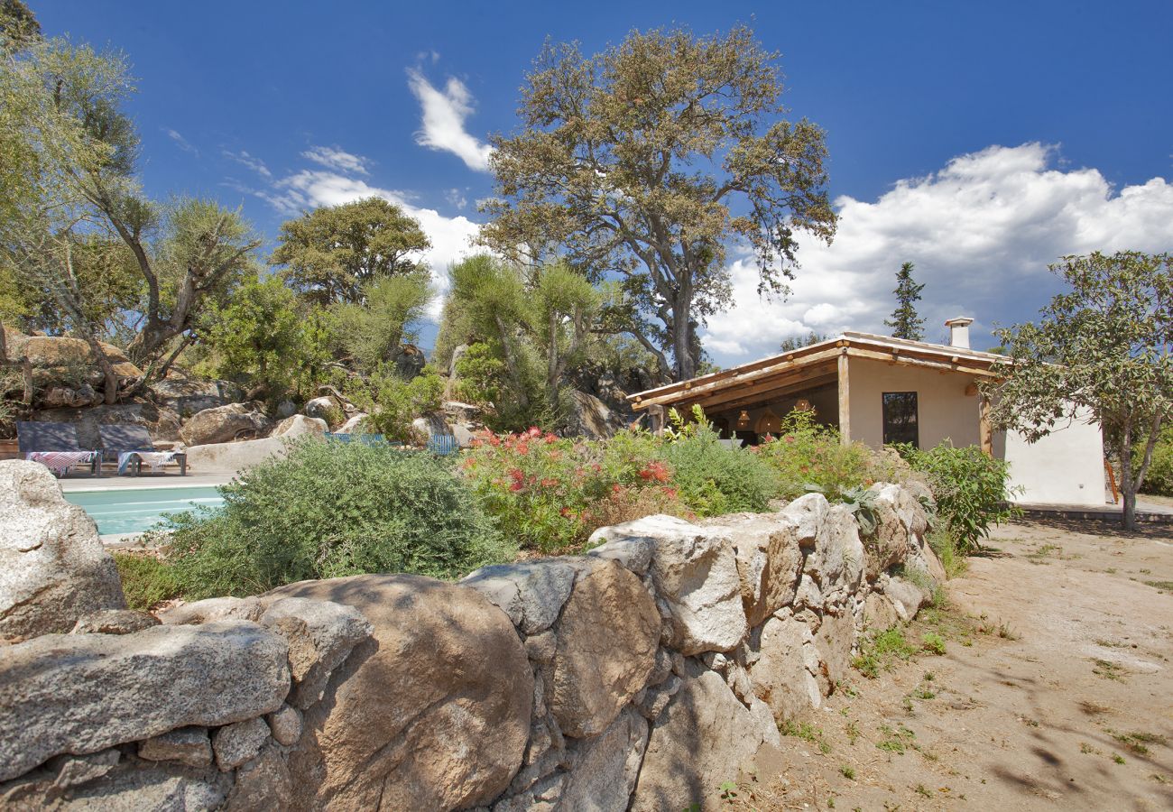 Villa à Porto-Vecchio - Villa Pianelli