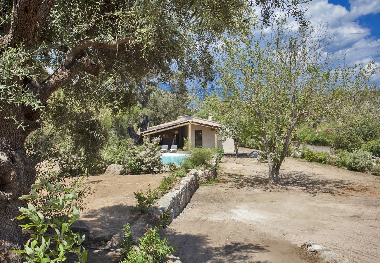 Villa à Porto-Vecchio - Villa Pianelli