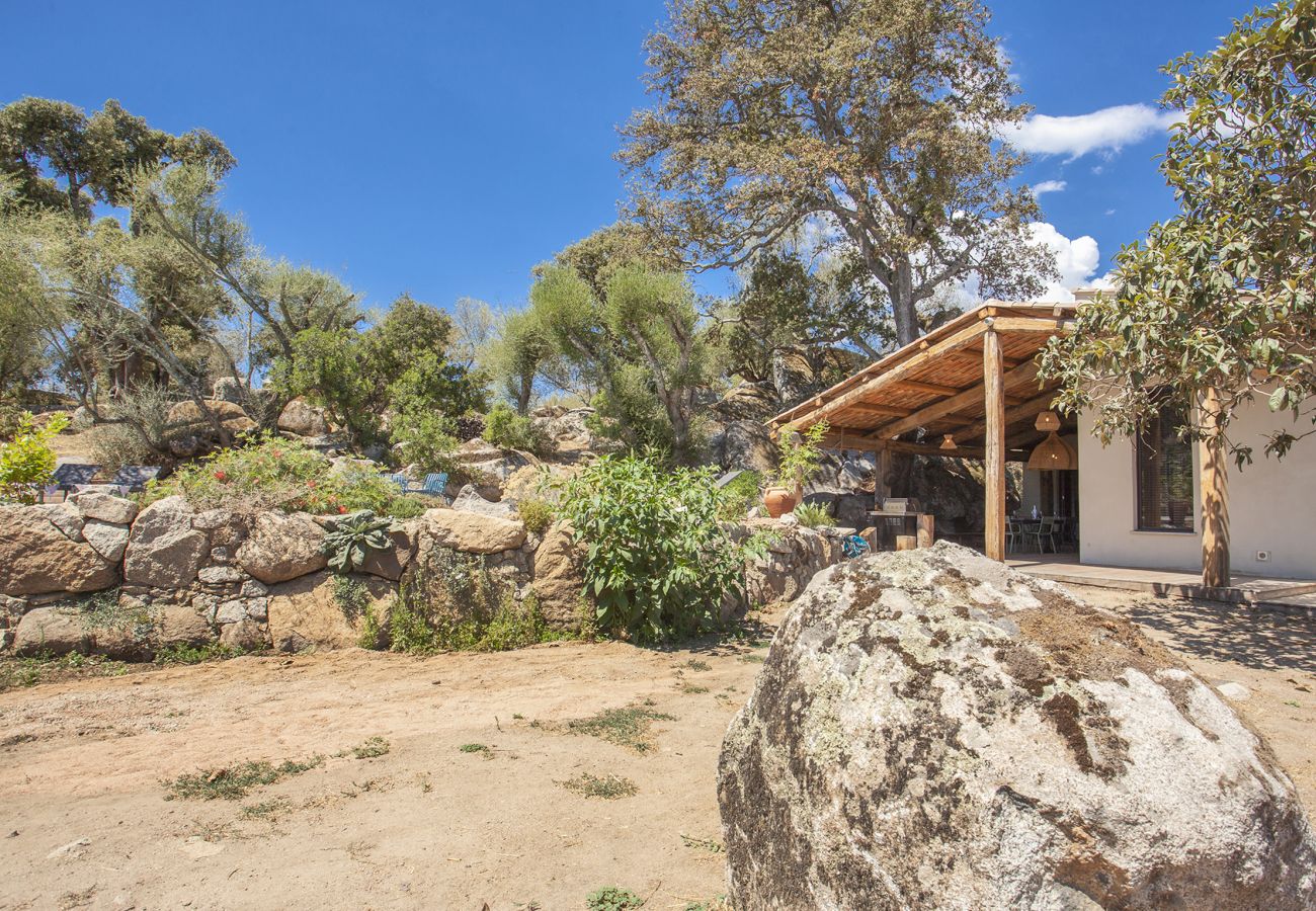Villa à Porto-Vecchio - Villa Pianelli