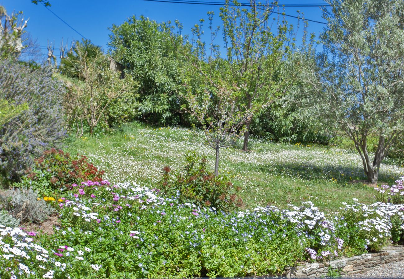Villa à Sisco - Villa Merusellu