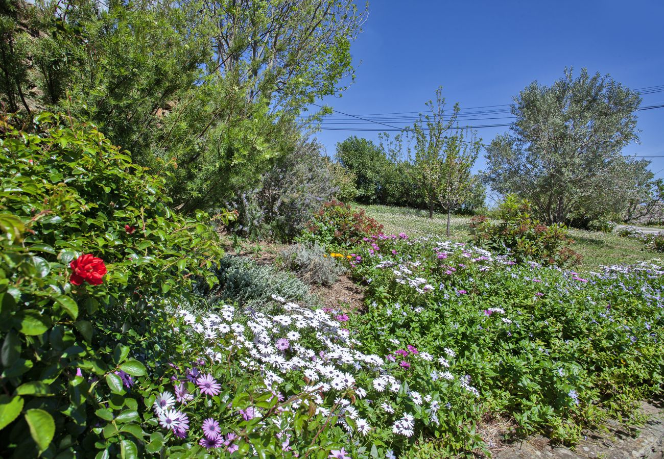Villa à Sisco - Villa Merusellu