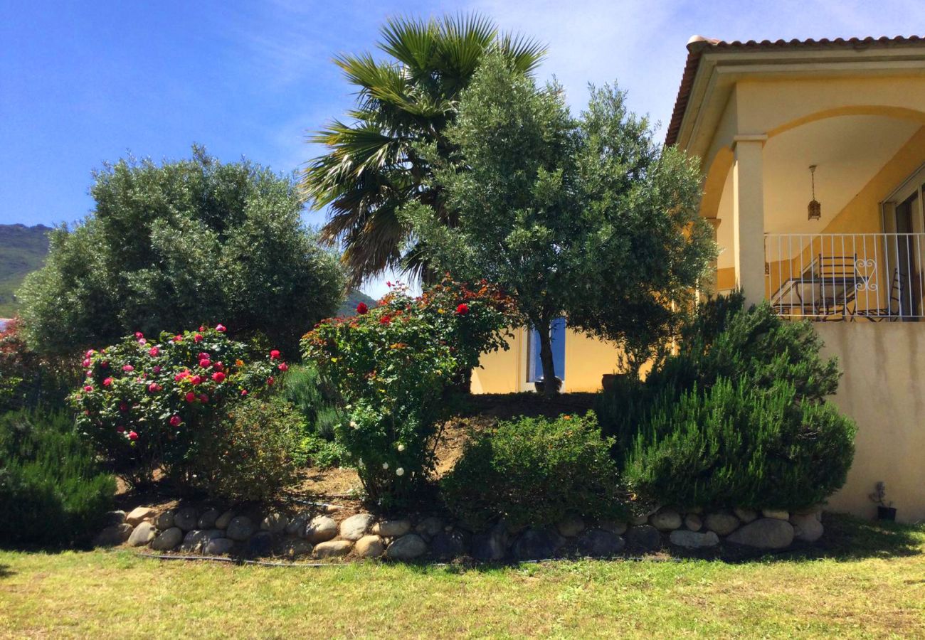 Villa à Borgo - Villa Roccu