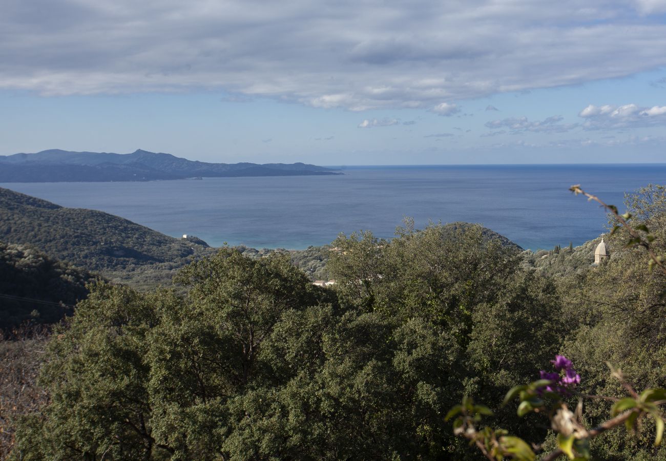 Appartement à Farinole - Casa Pinzelli