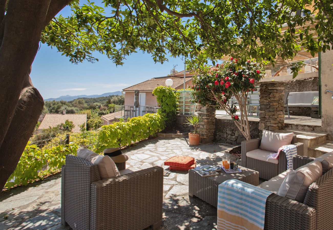 Maison à Biguglia - Villa Felicita